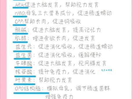 ara是什么意思 一文读懂ara的定义和作用