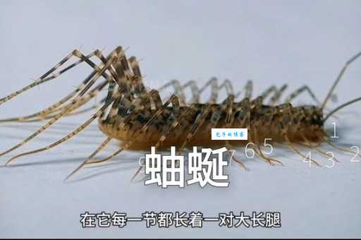 镪水是什么意思 为什么大家都要小心它