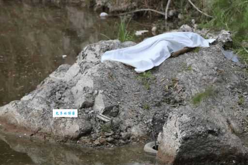 浮尸国是什么意思 为什么最近大家都在讨论它