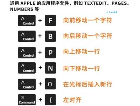 ctrl z是什么意思 电脑撤销快捷键原来这么简单