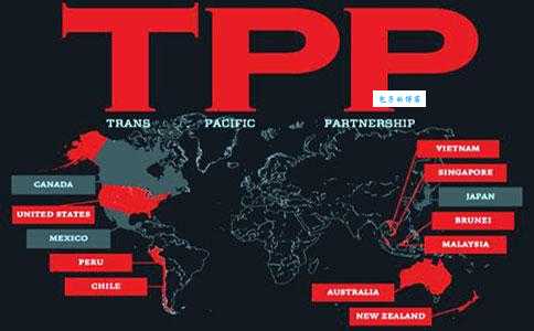 tpp是什么意思 为什么tpp这么重要