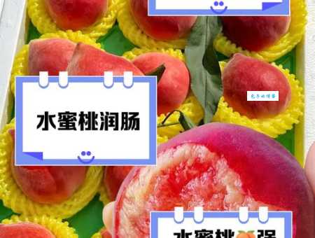 人间水蜜桃的功效与作用常吃对身体好处多