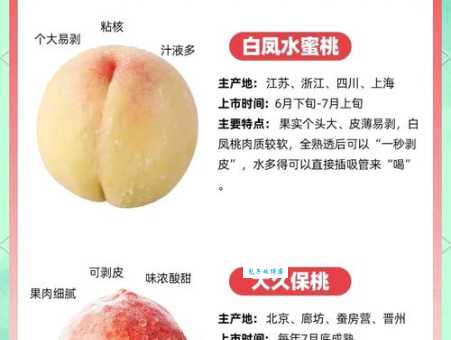人间水蜜桃的功效与作用常吃对身体好处多