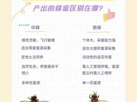 哪种蜜蜂会制造蜂蜡 揭秘蜜蜂种类与蜂蜡关系