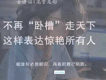 卧槽真正的意思是什么别再用错了快来看看
