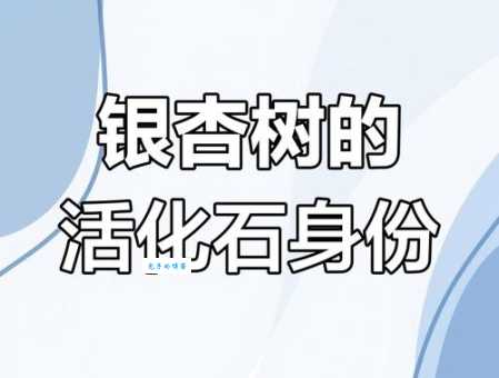 什么树被称为活化石银杏树的生存之谜