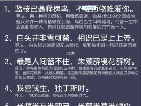 蓝桉已遇释槐鸟不爱万物唯爱你的爱情哲学探讨