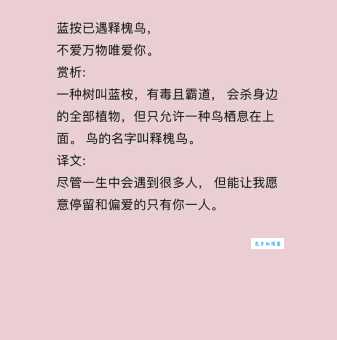 蓝桉已遇释槐鸟不爱万物唯爱你的爱情哲学探讨