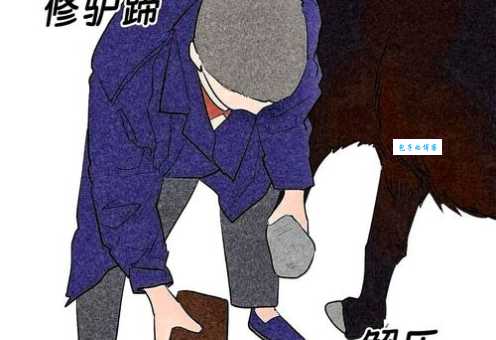 伐木累是什么意思 这个梗原来这么有趣