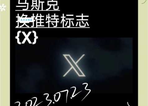 推特是什么意思 为什么现在大家都叫它X平台