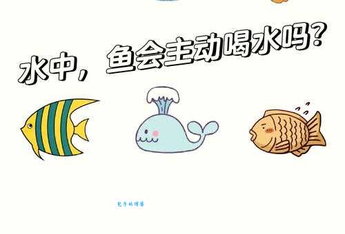 鱼在水里会喝水吗鱼儿喝水的方式大揭秘