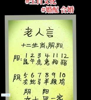 阴阳颠倒打一个生肖