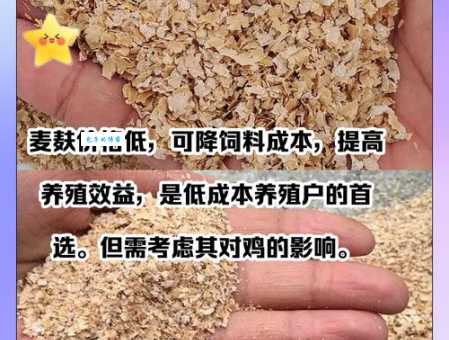 麦麸是什么意思 吃麦麸对身体有哪些好处
