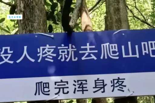 爬山网络语什么意思原来是指这个网络流行梗