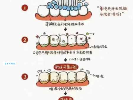 刷牙最该刷的其实不是牙齿很多人都刷错了
