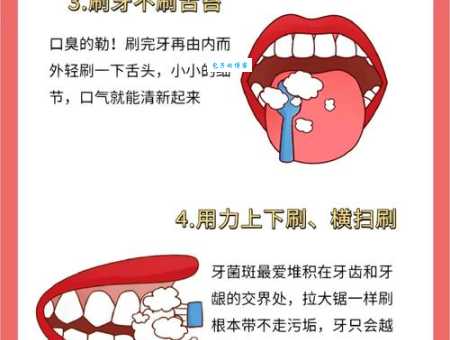 刷牙最该刷的其实不是牙齿很多人都刷错了