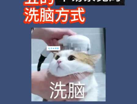 洗脑是什么意思 洗脑和正常说服的区别在哪里