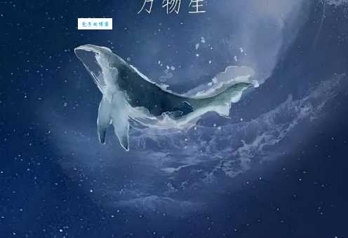 鲸落是什么意思 带你了解深海生命的馈赠