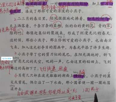 皮燕子是啥意思 网络用语背后的真实含义揭秘