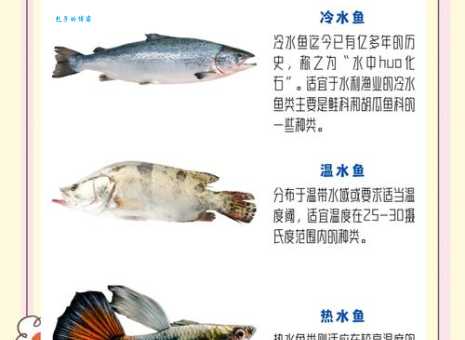 全身恒温的鱼对海洋生态有何影响