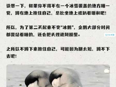 哪种动物会进入夏眠 揭秘夏天睡觉的小动物