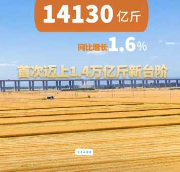 揭秘我国第四大粮食作物产量惊人用途广