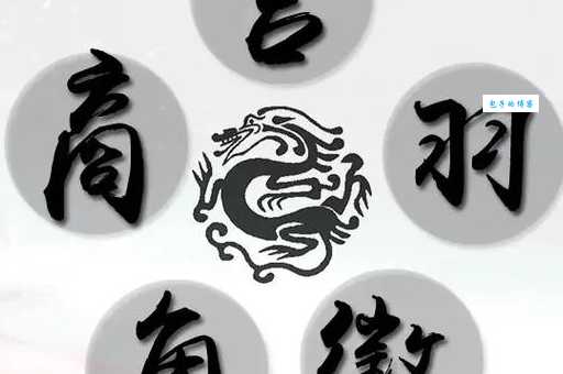 宫商角徽打一成语这个谜语说的是五音不全