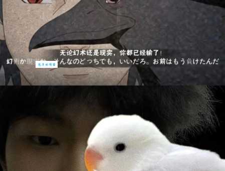 宇智波止水怎么死的 揭秘火影中他的真实死因