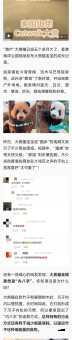 熊猫内八字走路的秘密终于被科学家发现了