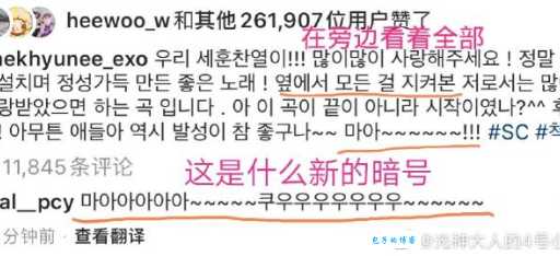 灿白是什么意思简单解释给你听