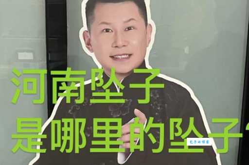 武坠子是什么意思河南传统说唱艺术大揭秘