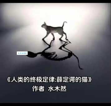 薛定谔的猫是什么意思 为什么它能解释量子叠加态