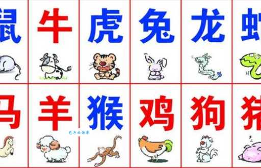 不寒而栗打一准确生肖猜猜看是什么动物