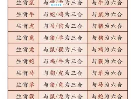 殊途同归打一个生肖答案揭晓你猜对了吗