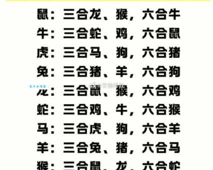 铜墙铁壁打一生肖十二生肖中它最坚硬