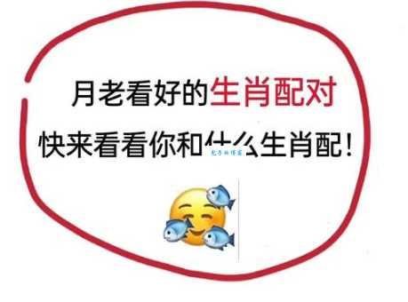 下陵上替打一生肖揭秘这个谜底到底是什么动物