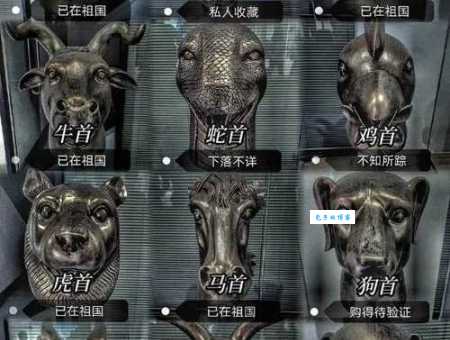 铜墙铁壁指什么生肖 揭秘十二生肖中的防御之王
