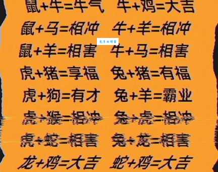 恭恭敬敬成一对是指什么生肖 揭秘最般配的生肖组合