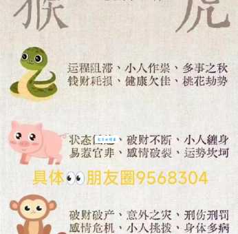 晨光熹微打一生肖解析这个生肖最符合意境