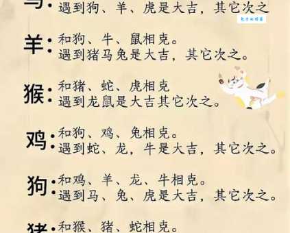 青堂瓦舍是什么生肖 原来和这个属相最配