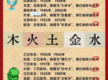 不古不今指什么生肖解析传统与现代的交融生肖