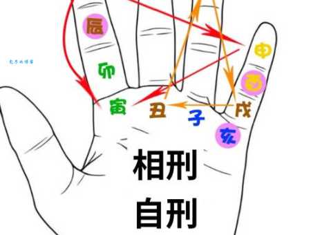 作法自毙打一生肖原来这个生肖自己害了自己