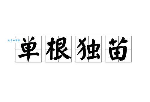 单根独苗是什么生肖 独家解析生肖中的独苗