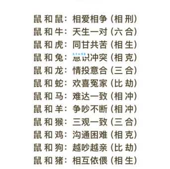 亲上加亲是什么生肖 十二生肖最佳配对指南