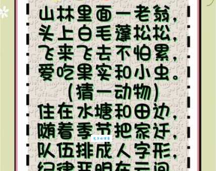 鼠肚鸡肠打一正确生肖谜底大公开快来围观