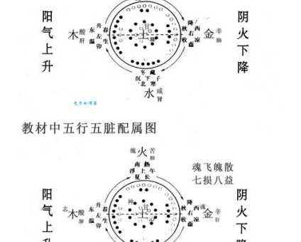 如见肺肝打一生肖真相终于找到最准的答案了