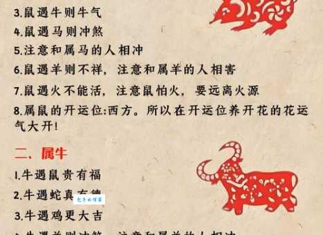 村鹃啼血什么生肖这些生肖的人要注意了