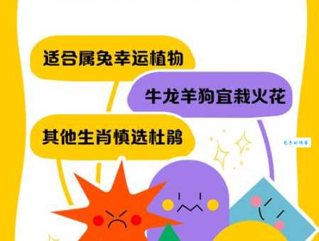 村鹃啼血什么生肖这些生肖的人要注意了