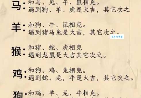 凶相毕露打一生肖解析 看看哪个生肖最匹配
