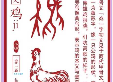 弄文轻武是什么生肖 这些生肖文武双全不简单